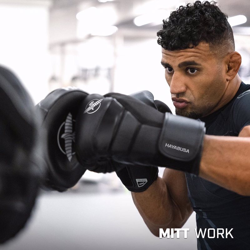 Hayabusa T3 Boxing Gloves -black/Iridescent 